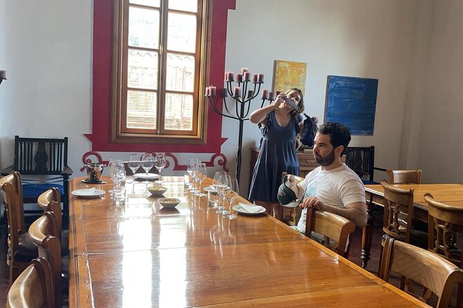 Full Day Private Aconcagua Wine Tour From Santiago - Inclusions of the Tour