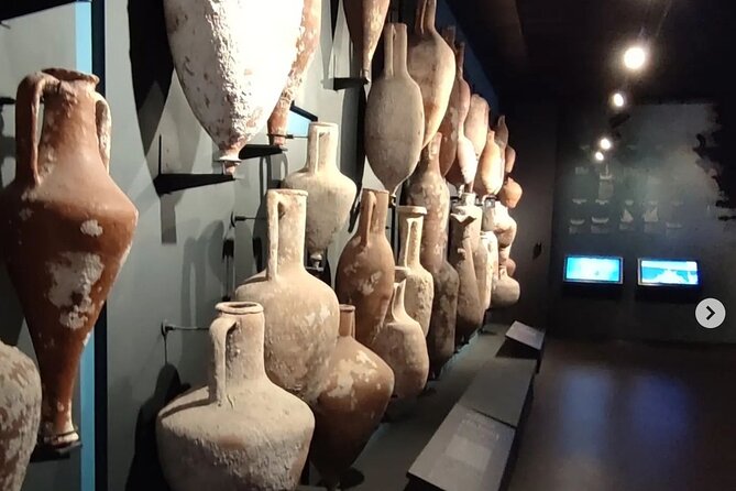 Full Day Private Bodrum Tour From Cruise Port - Meeting Point Details