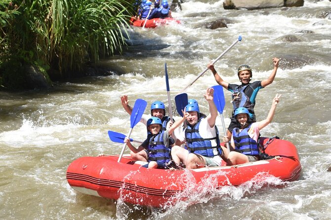 Full Day Private Car Tour With Driver as Guide in Ubud - Inclusions and Amenities