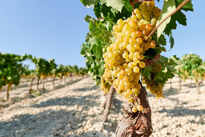 Full Day Private Crete Wine Tour Experience From Heraklion - Pickup Information