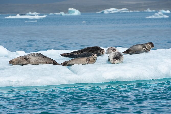 Full Day Private Glacier Lagoon Tour in Iceland - Tour Details