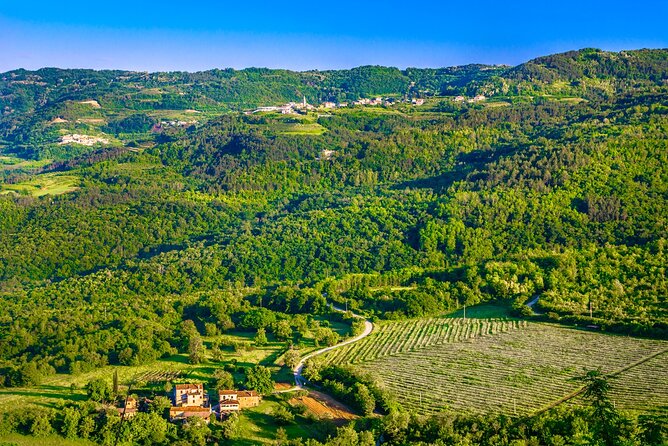 Full-Day Private Istria Wine Tour Experience From Porec - Itinerary and Schedule