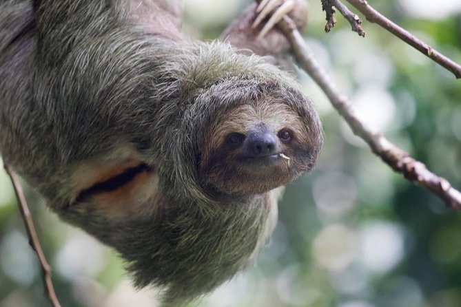 Full-Day Private Nature and Wildlife Tour in Costa Rica - Directions