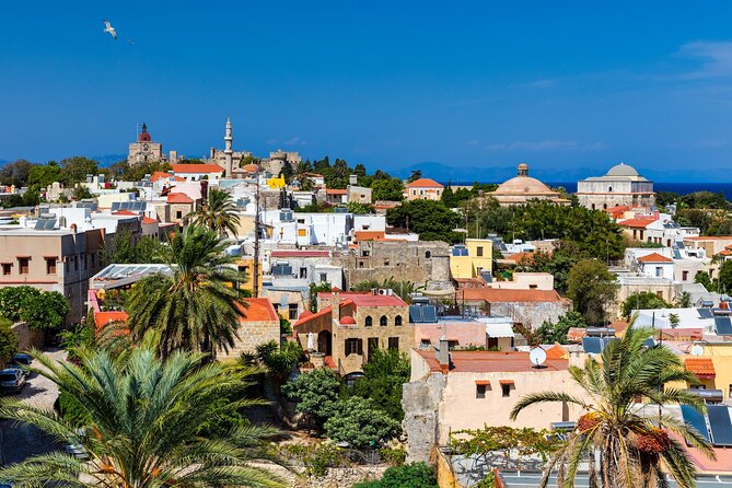 Full Day Private Shore Tour in Rhodes From Rhodes Cruise Port - Meeting Point and Start Time