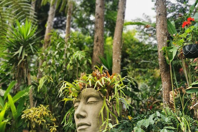 Full Day Private Tour Flower Route and Coffee Route - Itinerary Details