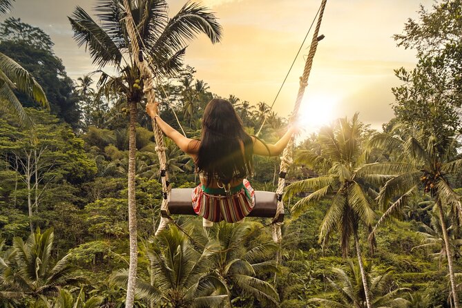 Full-Day Private Tour From Ubud Temples to Rice Terraces - Exclusions