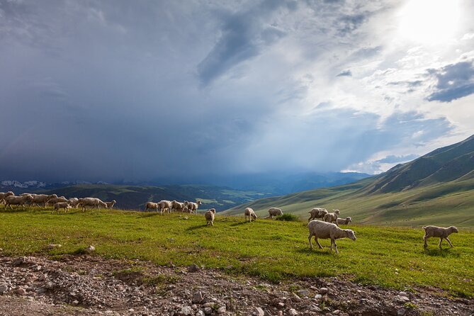 11 Best Full-Day Tours In Almaty