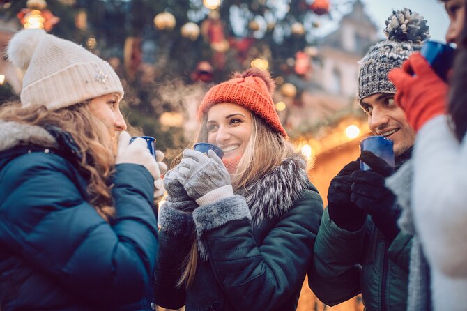 Full Day Private Tour in Vienna Christmas Market From Budapest - Itinerary