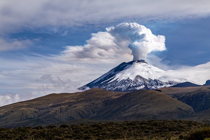 Full Day Private Tour to Cotopaxi National Park - Additional Details