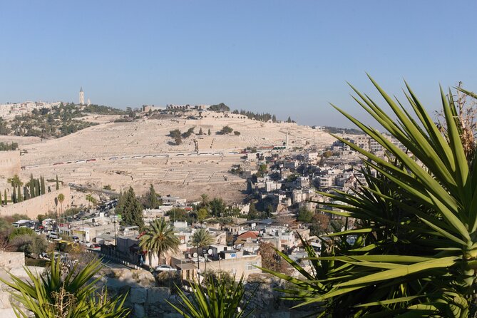 Full Day Private Tour to Hebron From Jerusalem - What To Expect