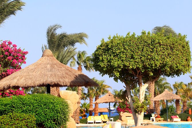 Full Day Private Tour to the Red Sea From Cairo - Transportation