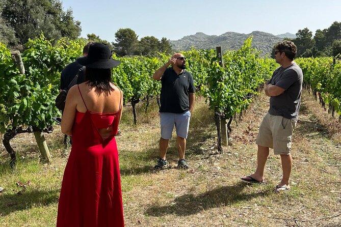 Full-Day Private Wine Tour to 3 Wineries in Mallorca - Whats Included