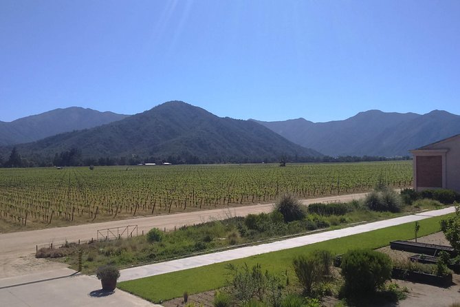 Full Day Private Wine Tour