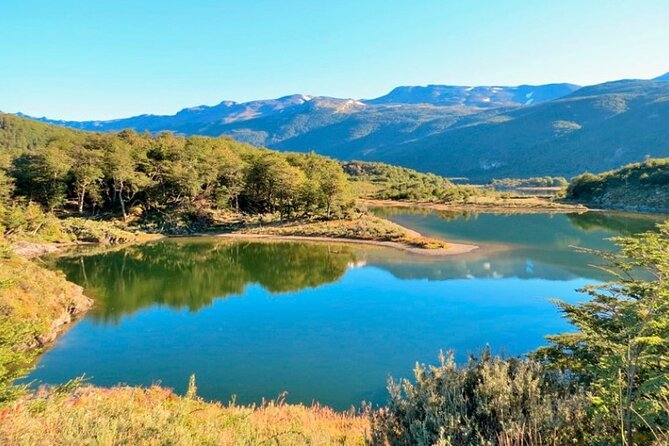 Full-Day Summer Tour in Ushuaia - Included Services