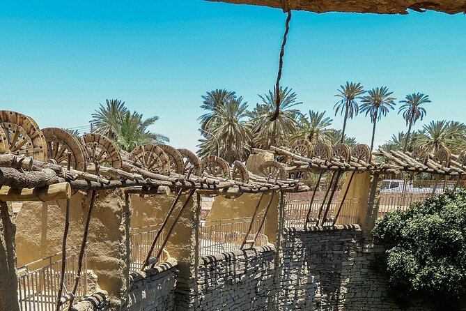 Full-Day Tayma Tour From Alula