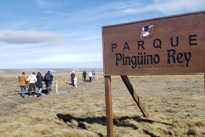 Full Day Tierra Del Fuego King Penguins - Pricing and Capacity