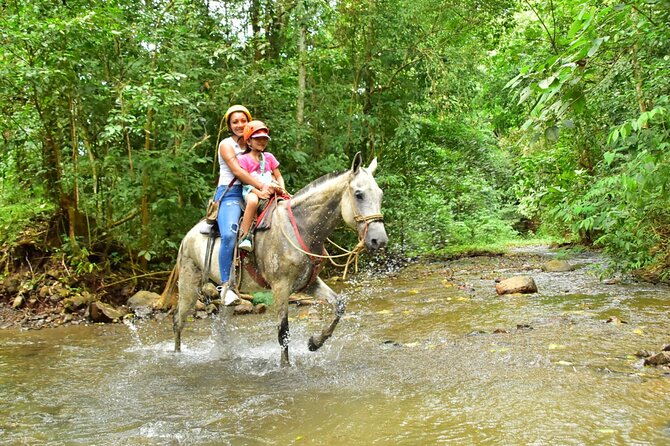 Full Day Tour From San José With Zipline and Horseback Riding - Pricing and Participants