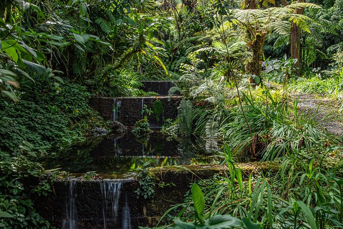 Full-Day Tour in Chiriqui Highlands With Lunch - Inclusions and Exclusions