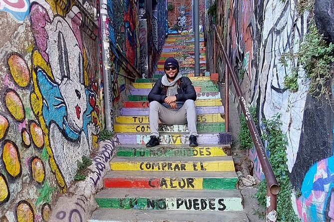 Full Day Tour in Viña, Valparaiso and Reñaca - Inclusions and Exclusions