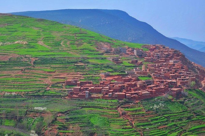 Full-Day Tour of Atlas Mountains With Camel Ride - Services Included