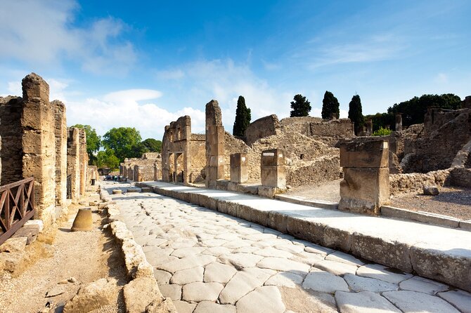 Full-Day Tour of Pompeii Ruins and Mount Vesuvius With Pick up - Inclusions
