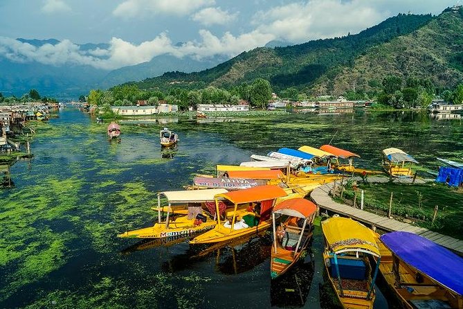 Full Day Tour of Srinagar With Entrance Fee, Guide & Lunch - Meeting Options and Pick-Up Details