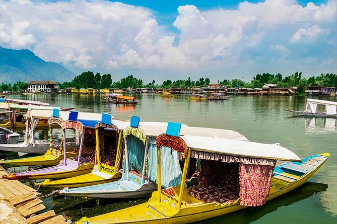Full Day Tour of Srinagar With Entrance Fee, Guide, Shikara Ride & Lunch