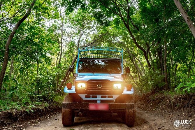 Full Day Tour on the Coqueirais Trail - Overview