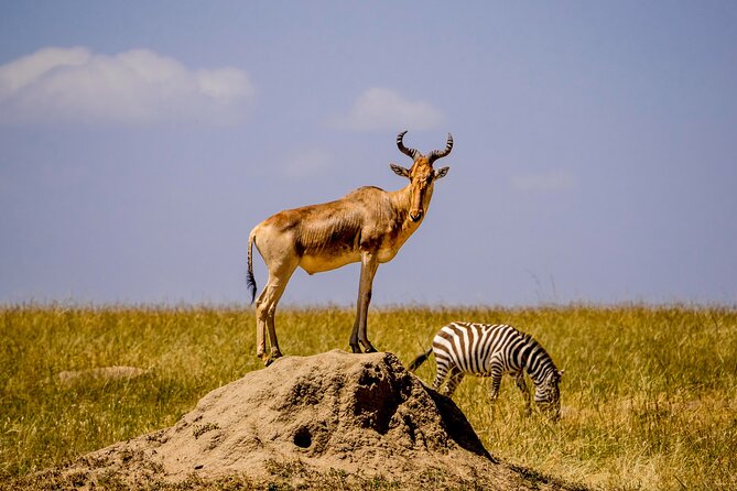 Full Day Tour To Arusha National Park Canoeing Safari
