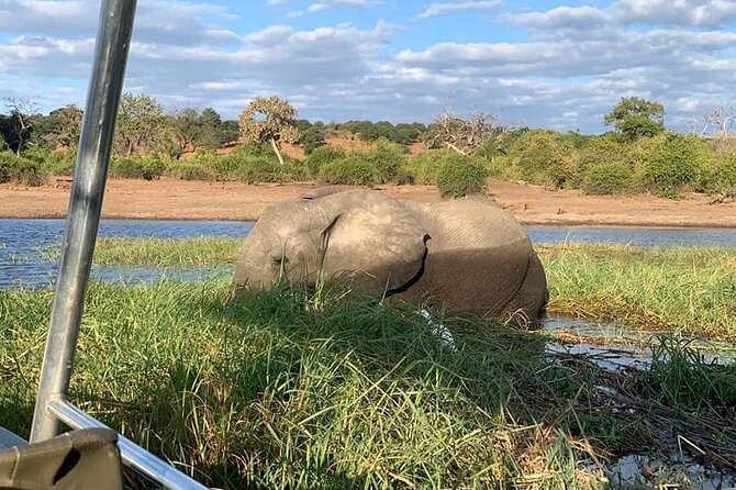 Full Day Tour to Chobe National Park and Botswana - Travel Requirements and Visa