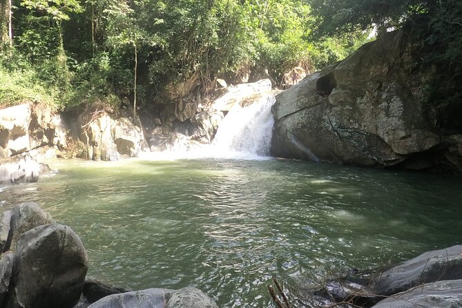 Full Day Tour to Gotsezhy Indigenous Town in Santa Marta - Meal Options and Dietary Restrictions