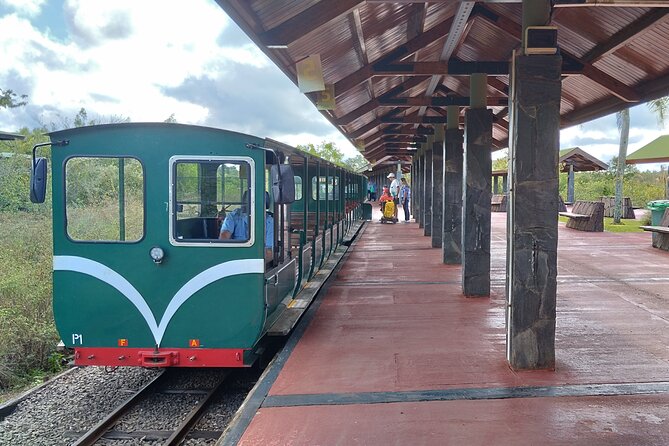 Full-Day Tour to Iguazu Falls Brazil and Argentina