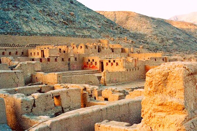 Full Day Tour to Paracas and Tambo Colorado National Reserve - Whats Included