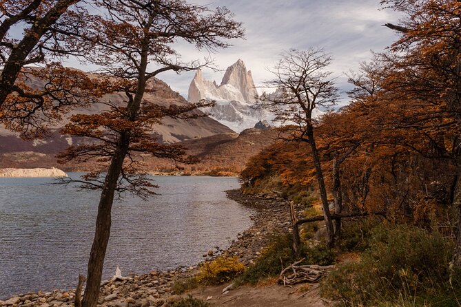 Full Day Trekking Tour - Fitz Roy and Laguna De Los Tres - Tour Highlights