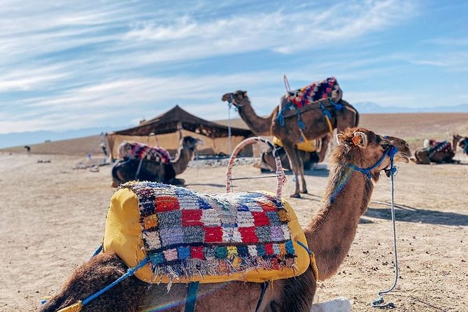 Full-Day Trip Atlas Mountains With Camel Ride - Inclusions and Logistics
