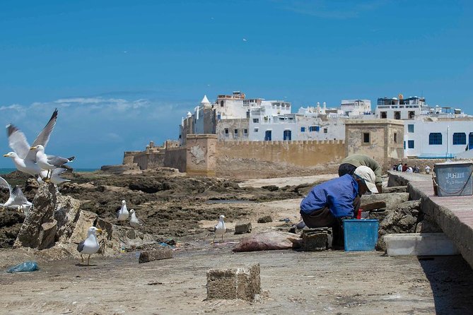 Full Day Trip Marrakech to Essaouira – Morocco !