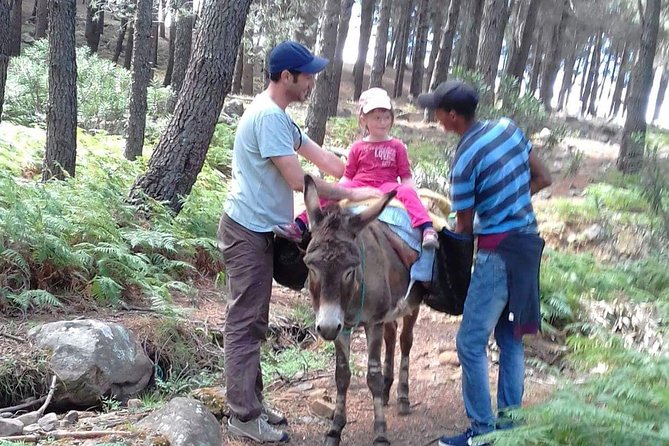 Full Day Trip to Bouhachem Park by Mules, and Chefchaouen - Trip Overview