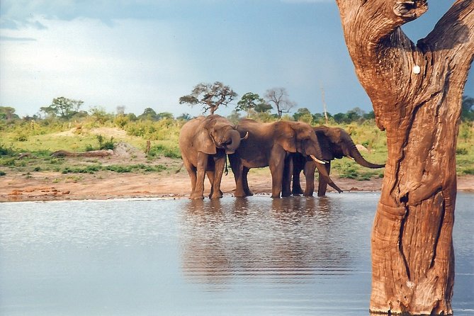 Full-Day Trip to Hwange National Park With Hotel Pickup - Inclusions and Pickup Details