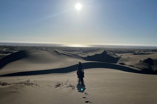 Full Day Valparaiso, Winery ,Dunes Horse Ridding & BBQ - Santiago - Pickup Logistics