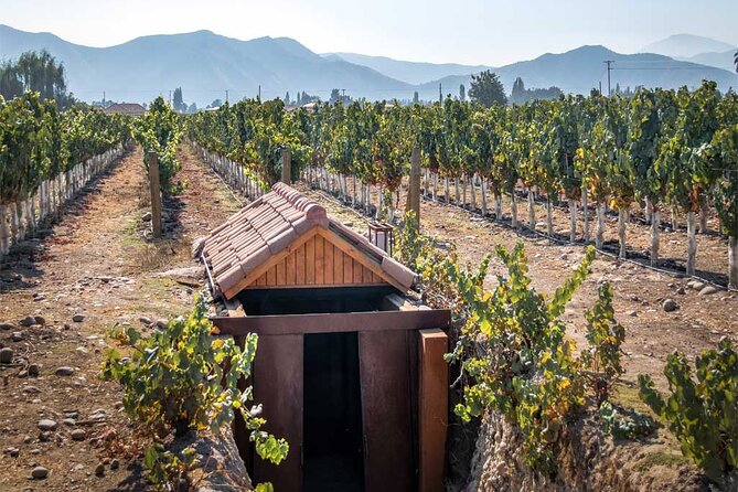 Full Day Winery Concha Y Toro Undurraga Santa Rita From Santiago - Winery Visits Schedule
