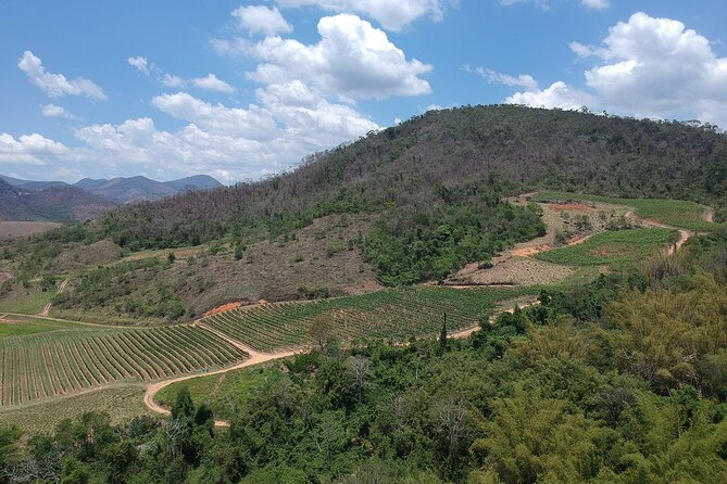 Full-Day Winery Tour From Rio - Meeting and Pickup