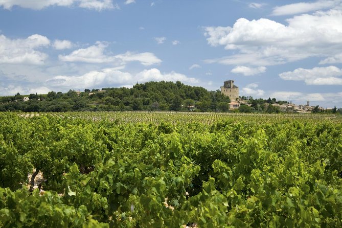 Full Private Day Avignon Chateuneuf Du Pape Wine Tasting - Additional Information