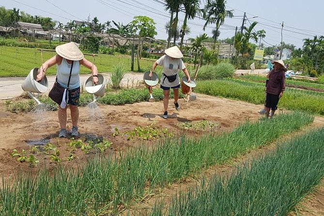 Fullday Tour to Visit Marble Mountain & Experience Daily Life of Hoi an People - Pickup Information