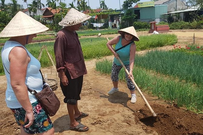 Fullday Tour to Visit My Son Holyland & Experience Daily Life of Hoi an People - Tour Destination