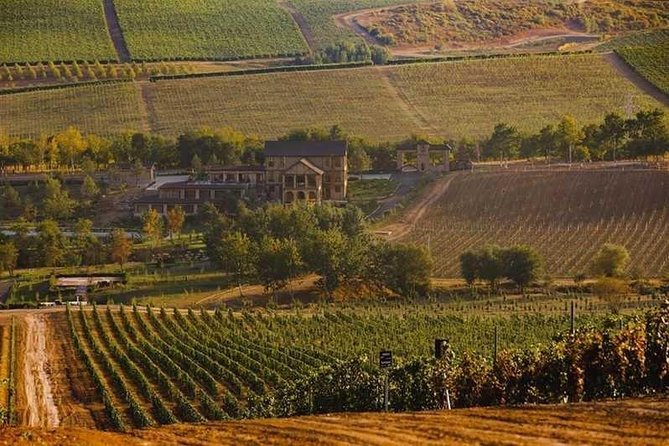 Gabala Aspi Winery Group Tour