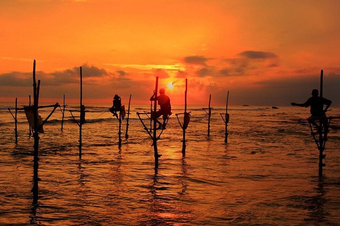 Galle Day Tour From Colombo - Tour Inclusions