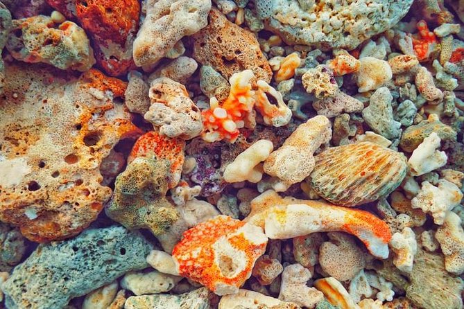 Galle One Day Excursion - Excursion Highlights