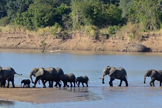 Game Drive and Rhino Walk - Booking Process and Confirmation
