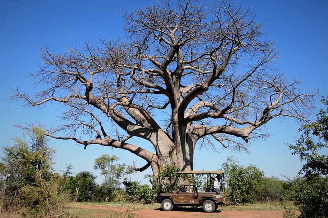 Game Drive in the Zambezi National Park - Victoria Falls - Cancellation Policy