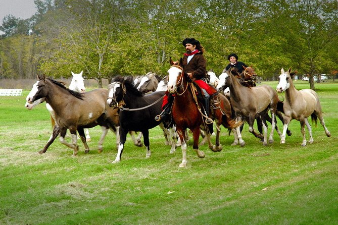 Gaucho Day Tour La Candelaria Estancia From Buenos Aires - Meeting and Pickup